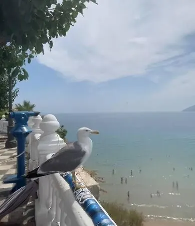 Apartamento Apartamento Céntrico Y En Primera Línea De Playa Benidorm